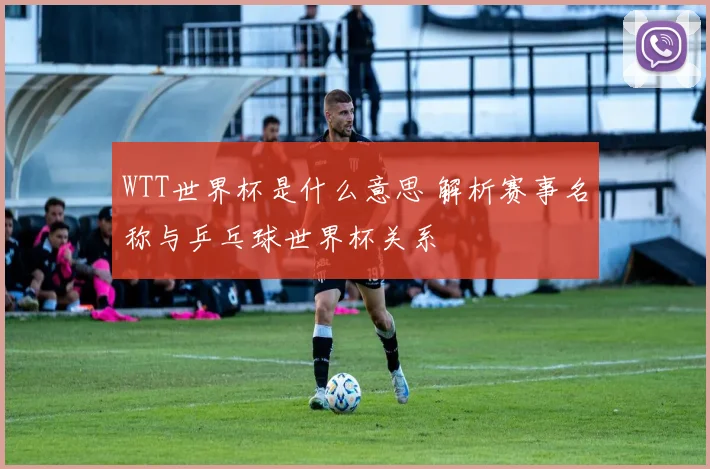 WTT世界杯是什么意思 解析赛事名称与乒乓球世界杯关系